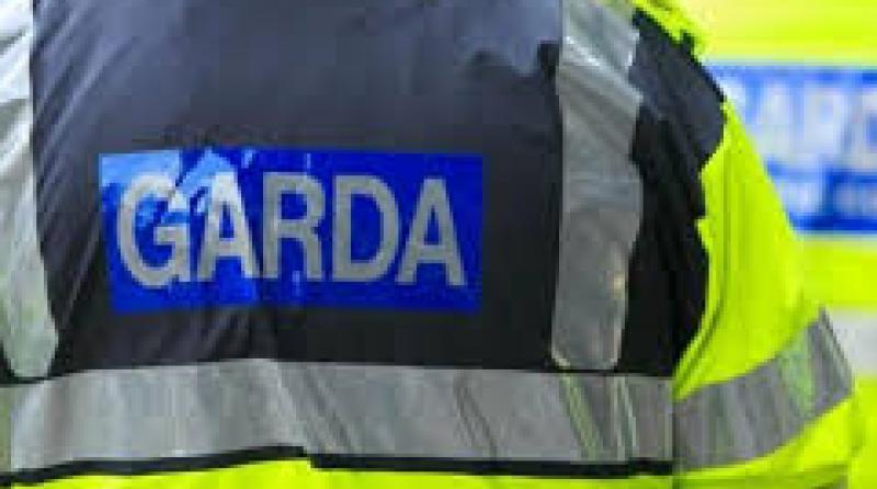 Gardai seize firearm, silencer and drugs during raid