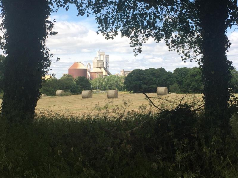Wanted! Send us your snaps from Limerick’s luscious land