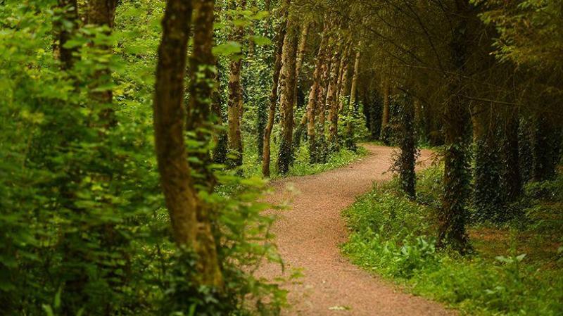 Smart phone app to help find 'quiet places' in Limerick