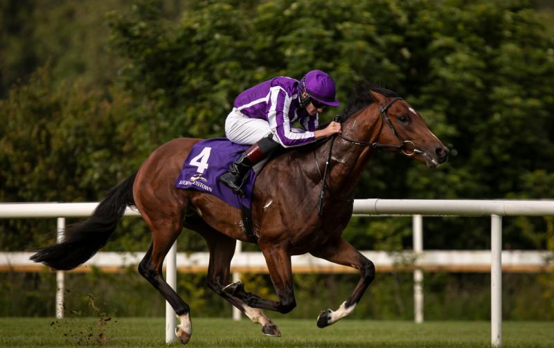 Limerick jockey lands plum ride in Saturday's Epsom Derby
