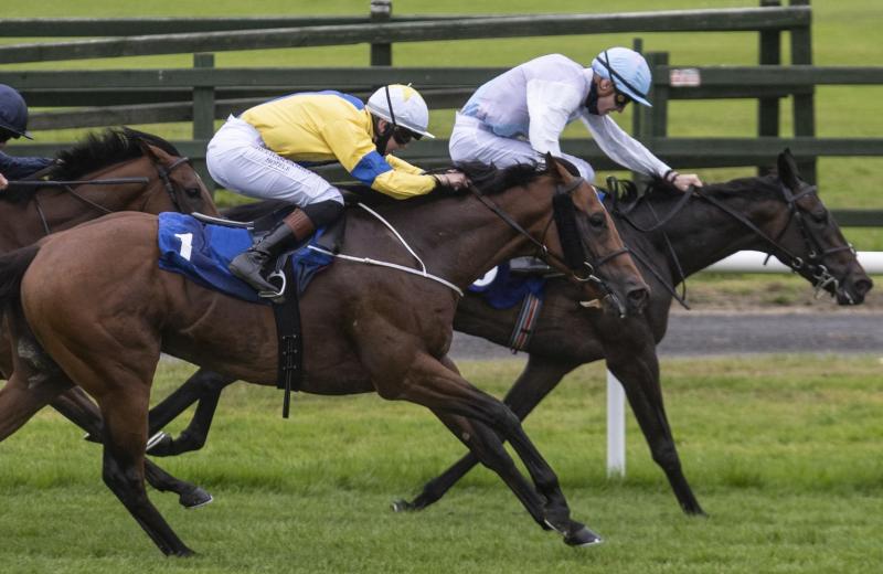 Limerick racing enthusiasts in red hot form on the track