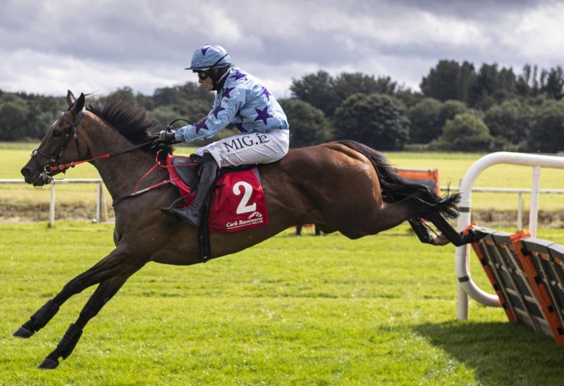 Bumper successes for Limerick racing enthusiasts