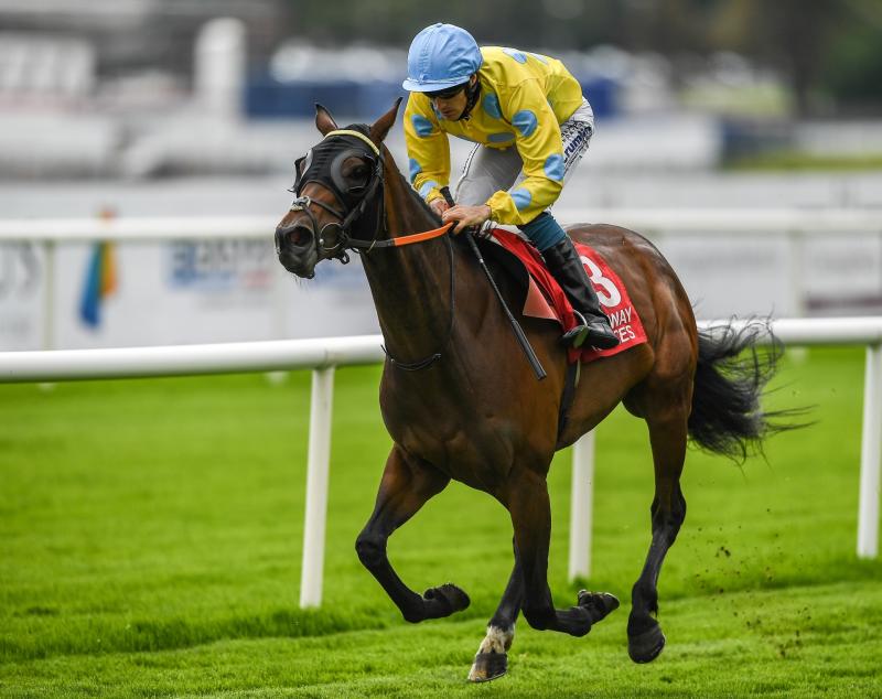 WATCH: Limerick jockey Billy Lee off to a flyer at the Galway Races