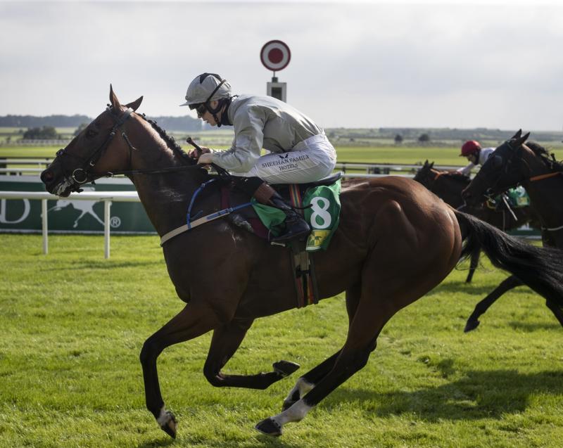 Winners alright as Limerick jockeys rack up the winners