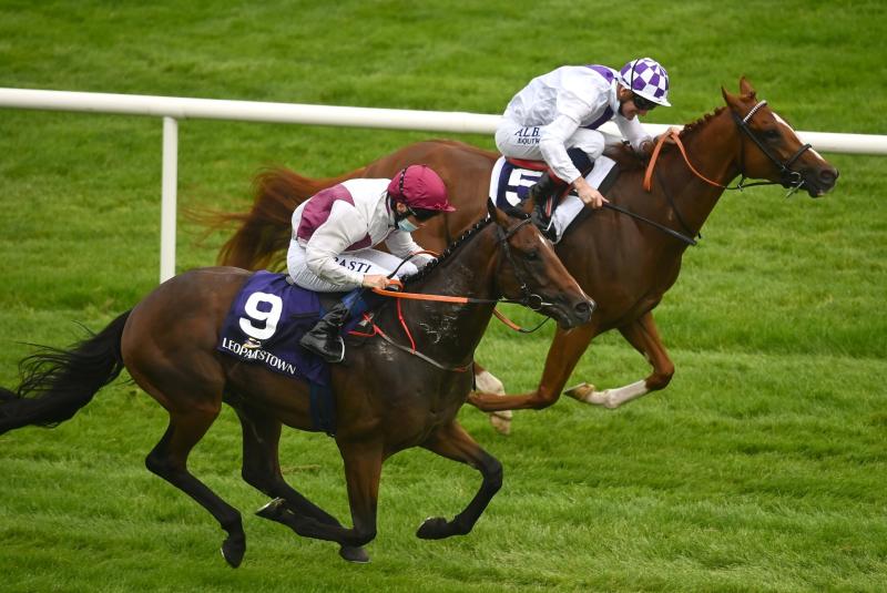 Limerick jockey Chris Hayes makes history with shock winner at Leopardstown 