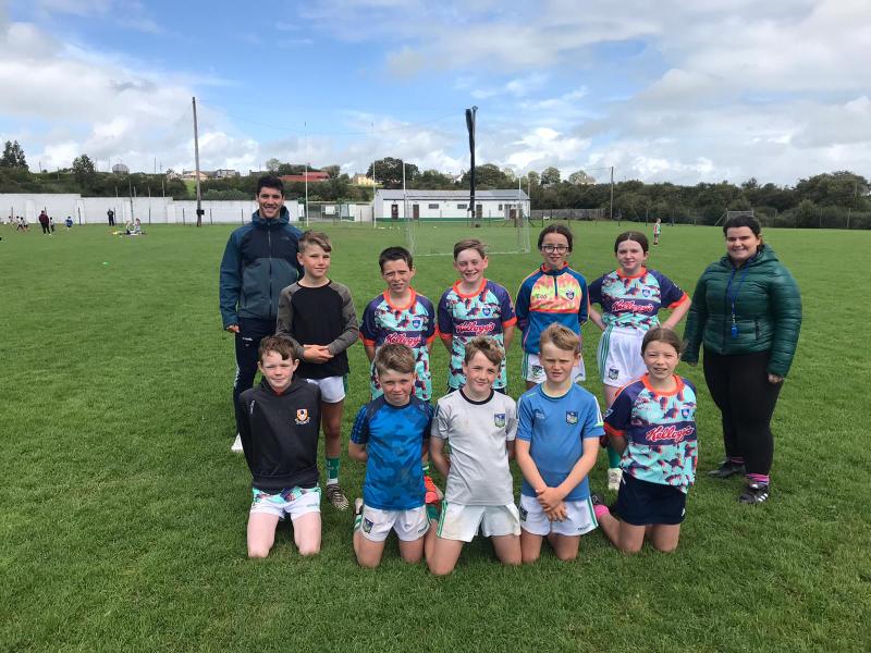 Limerick GAA notes - latest news from 21 different clubs