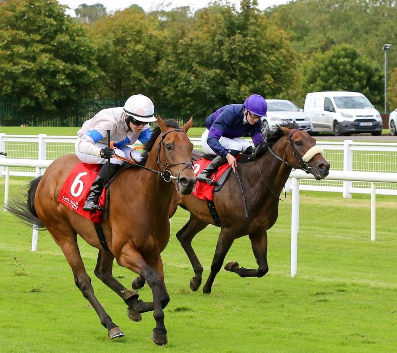 Winners alright for Limerick racing enthusiasts