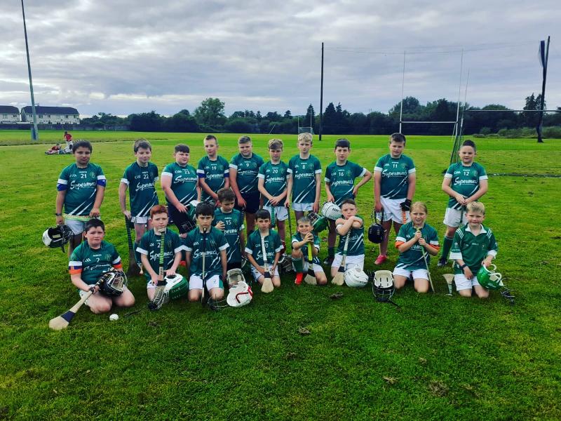 Limerick GAA notes - latest news from 24 different clubs