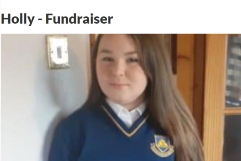 GoFundMe page for Limerick girl knocked down on first day of school