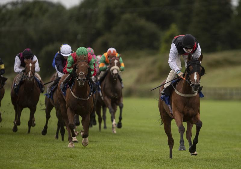 Limerick horse racing enthusiasts score notable wins
