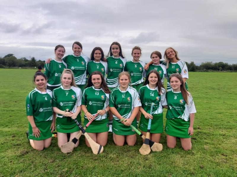 Limerick GAA notes - latest news from 22 different clubs