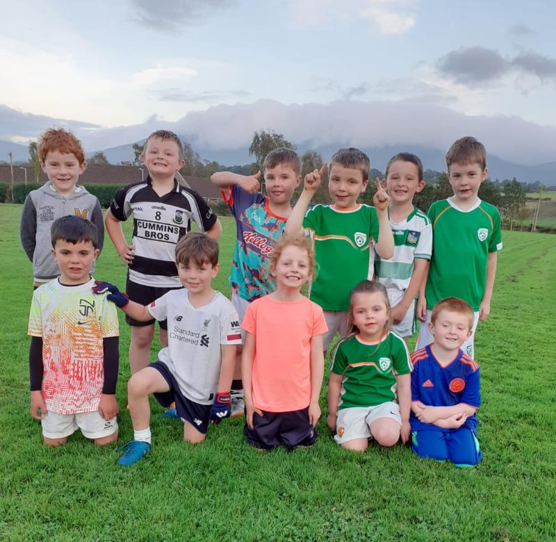 Limerick GAA notes - latest news from 21 different clubs