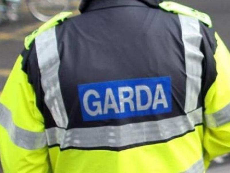 Two men to appear before Limerick District Court in connection with €100,000 drugs seizure