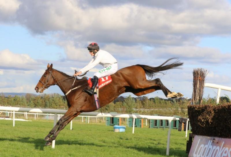 Top class entry for JT McNamara Ladbrokes Munster National at Limerick