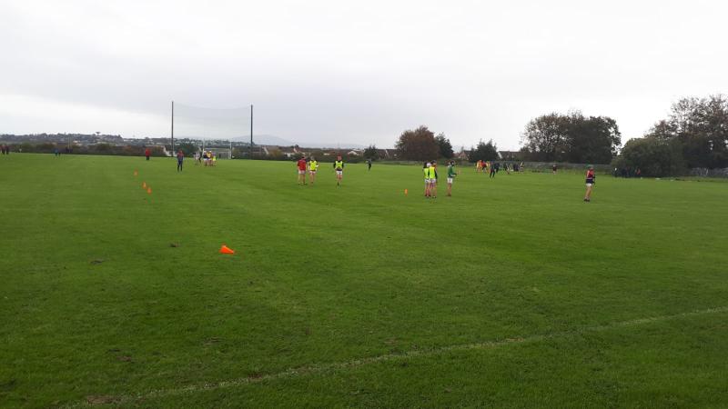 Historic first competitive hurling fixture in new Limerick GAA ground