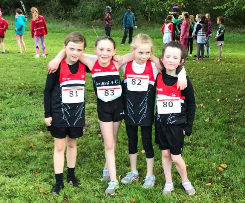 Limerick Cross-Country Championships take centre stage