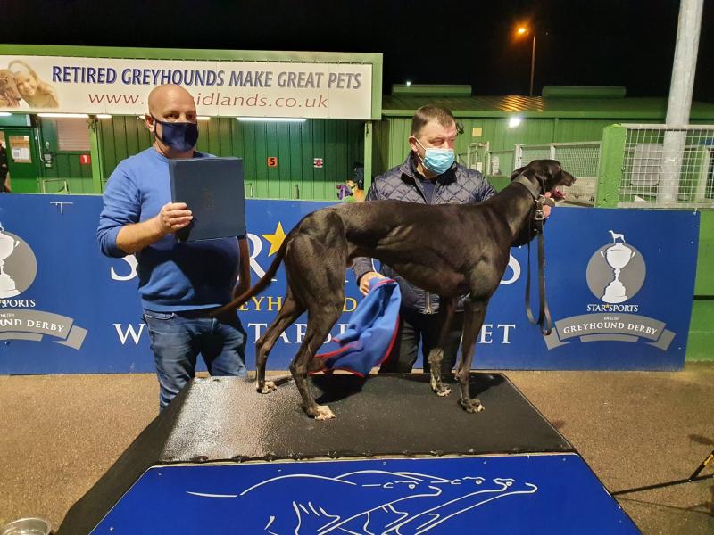 Limerick trainer Pat Buckley hat-trick in English Greyhound Derby in Nottingham