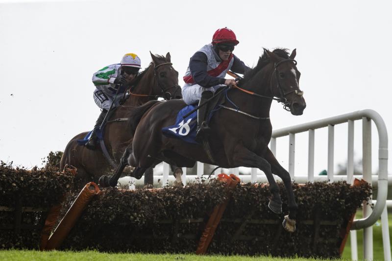 Rich pickings for Limerick racing enthusiasts