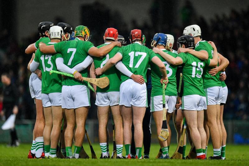 Limerick's 36-man panel for the 2020 All-Ireland Senior Hurling Championship
