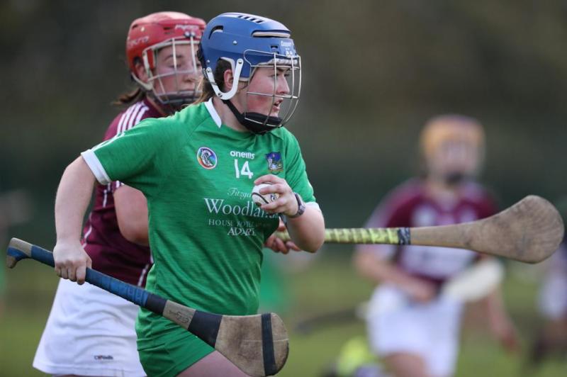 Limerick suffer defeat to Westmeath in All-Ireland Senior Camogie Championship