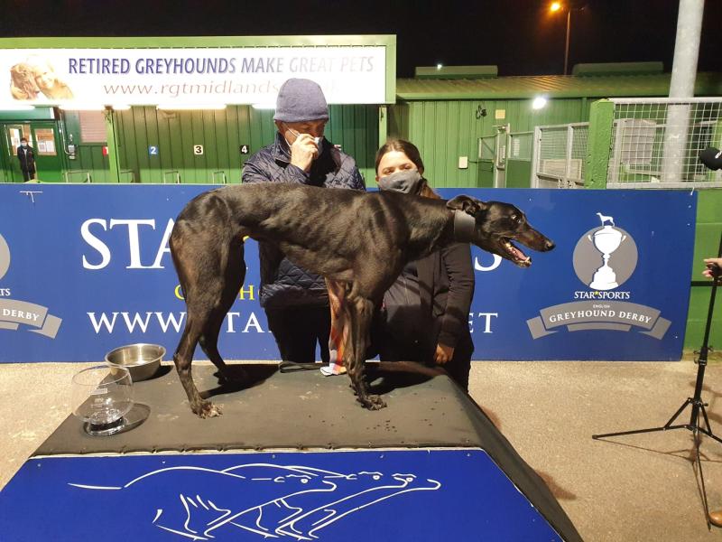 Limerick trainer Pat Buckley with two runners in semi final of English Greyhound Derby