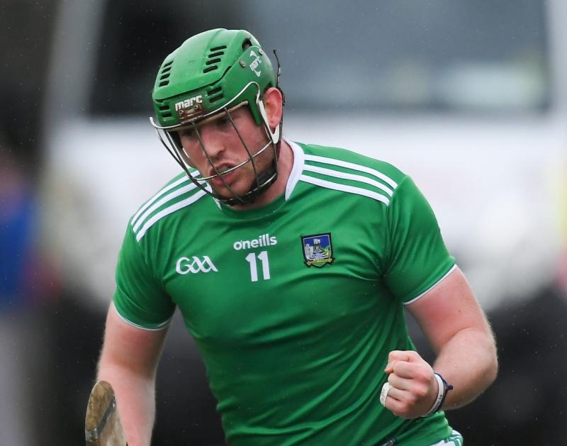 Limerick All-Ireland winner Shane Dowling backs criticism of 'new hurling rules'