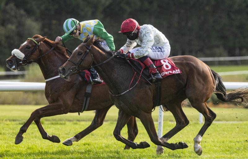 Winners alright for Limerick racing enthusiasts