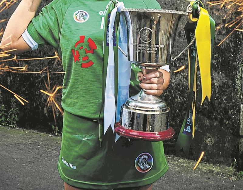 Limerick call for reverse of decision to remove second teams from Camogie Championships