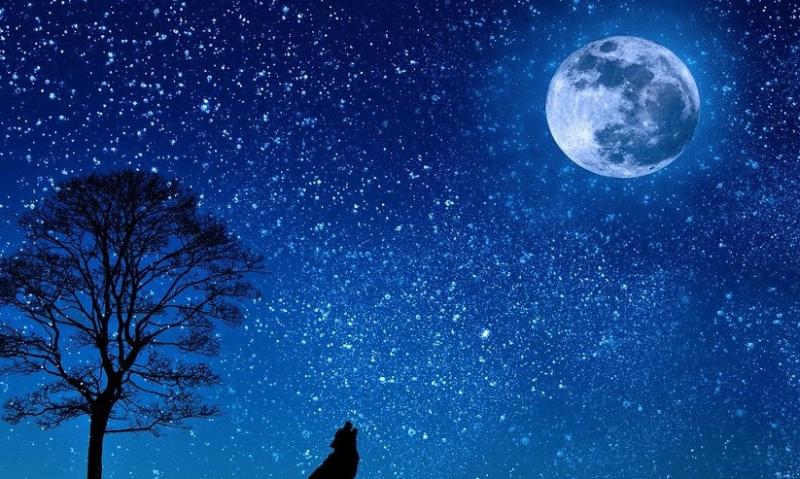 Rare blue moon over Laois this Halloween - and astronomy Ireland would love to see your photos
