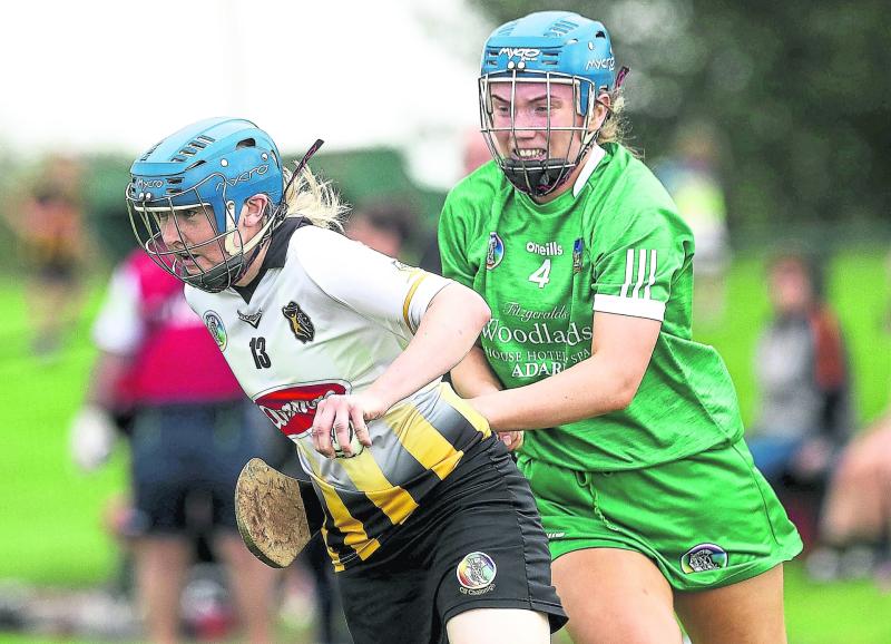 Limerick complete All-Ireland Camogie Championship campaign against Kilkenny