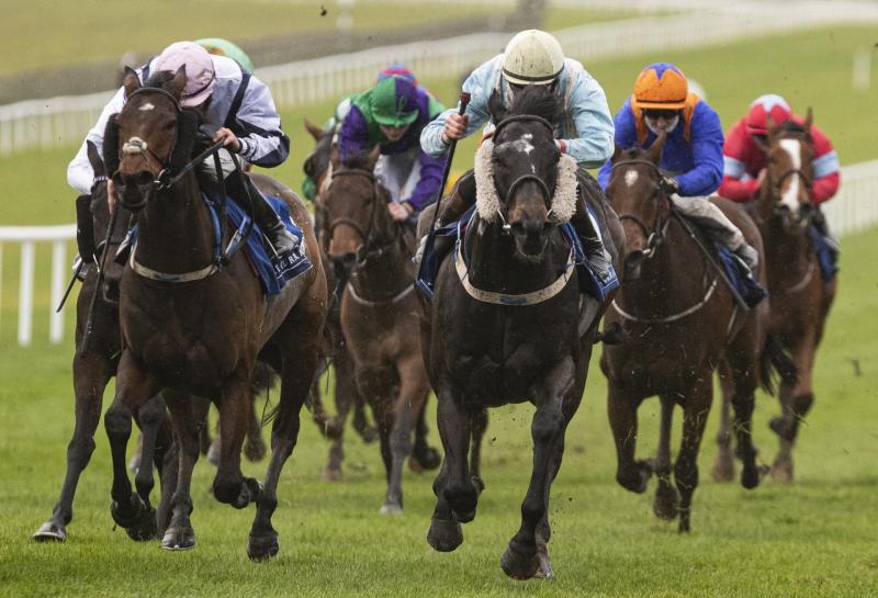 Limerick jockeys enjoy bumper racing success