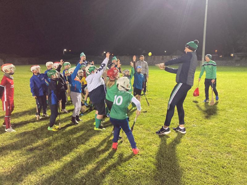 Limerick GAA notes - latest news from 16 different clubs