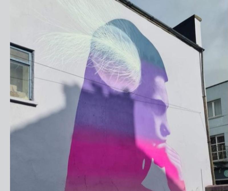 Newly formed community organisation in Limerick launches new website