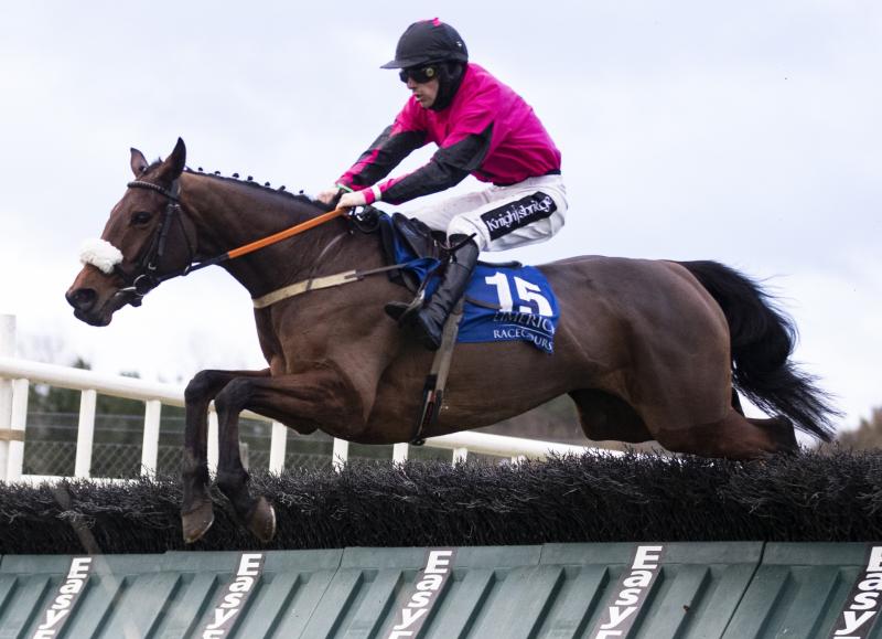 It's double delight for Athea racehorse trainer at Limerick