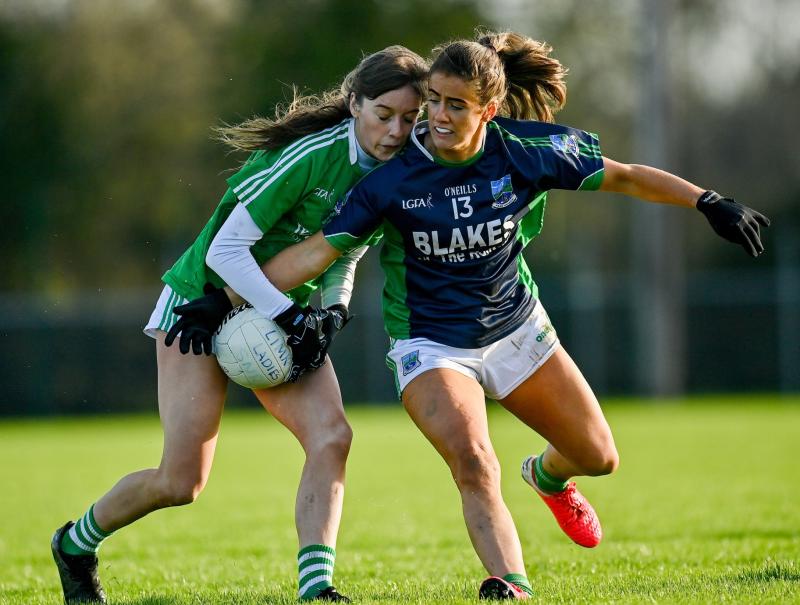 Limerick GAA notes - latest news from 18 different clubs