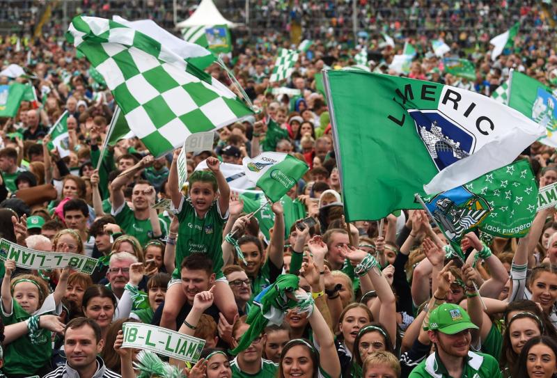 Dáil Deputy insists Limerick hurlers are 'elite athletes'
