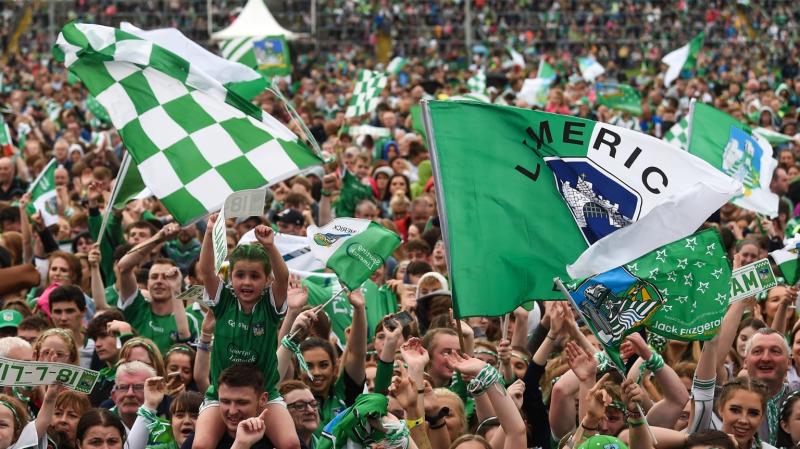 WATCH: Team Limerick Clean-Up backs hurlers All-Ireland final glory bid