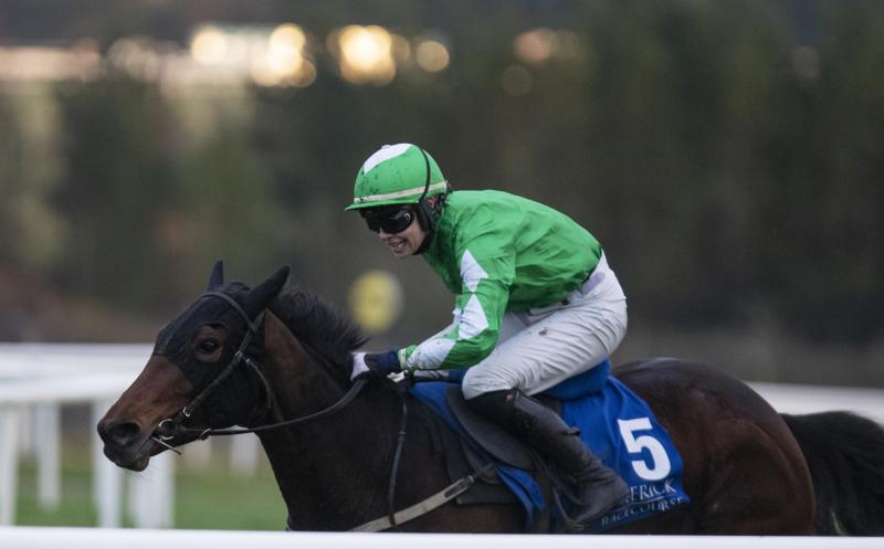 Limerick racing enthusiasts in top form on the track