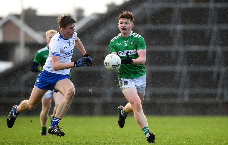 Impressive Limerick power past Waterford into Munster minor football semi final