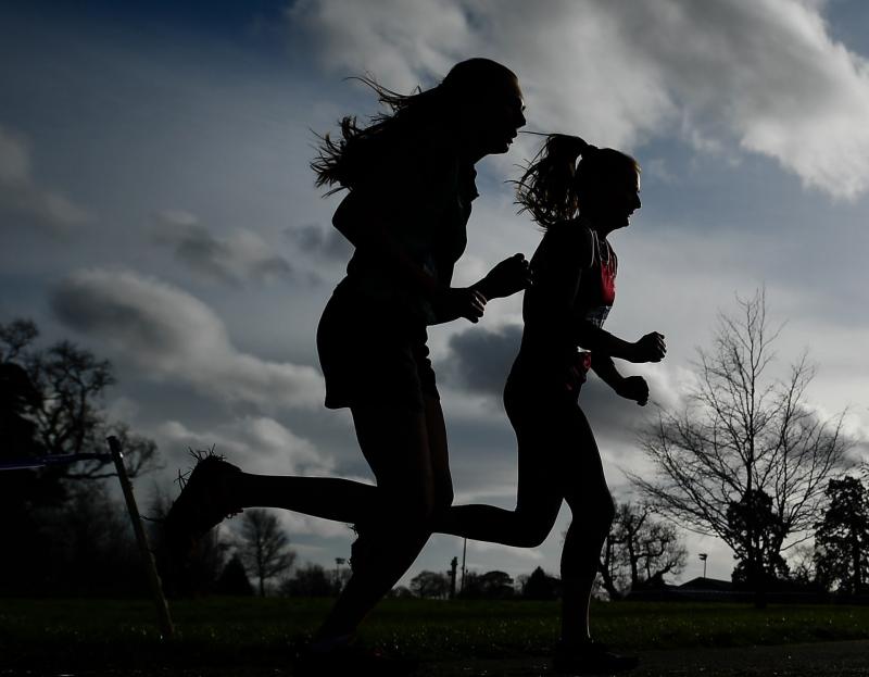 Virtual runs take centre stage in Limerick athletics 