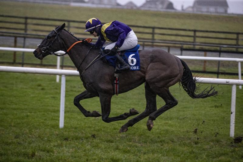 Bumper spell of success for Limerick racing