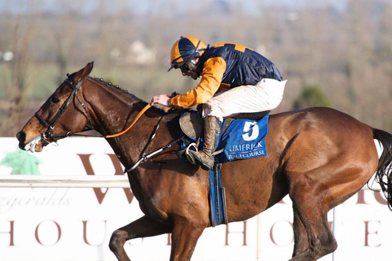 Christmas Racing Festival continues at Limerick Racecourse