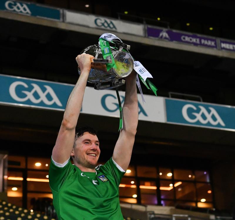 Limerick hurling year in review 2020