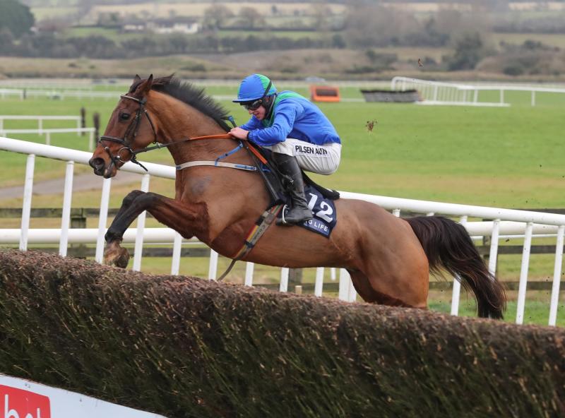 It's winner alright for Limerick racing connections