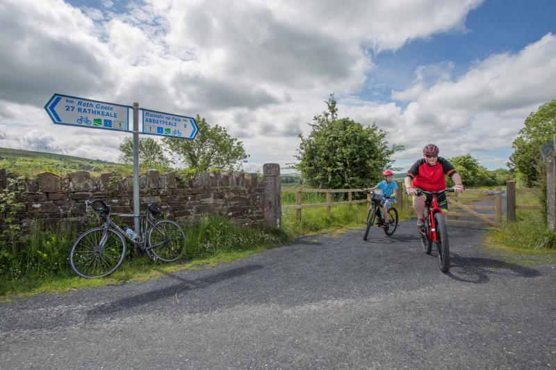 New 'Limerick Greenway' to open this summer Limerick Live