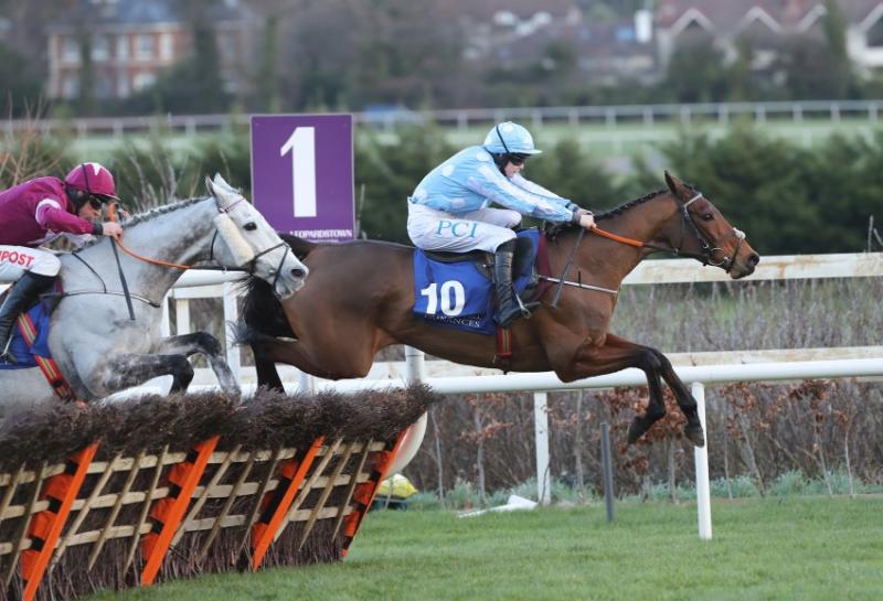 Superstars of the turf set for weekend Dublin Racing Festival