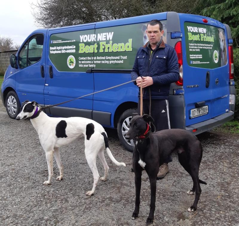 Limerick greyhound community promoting greyhounds as pets