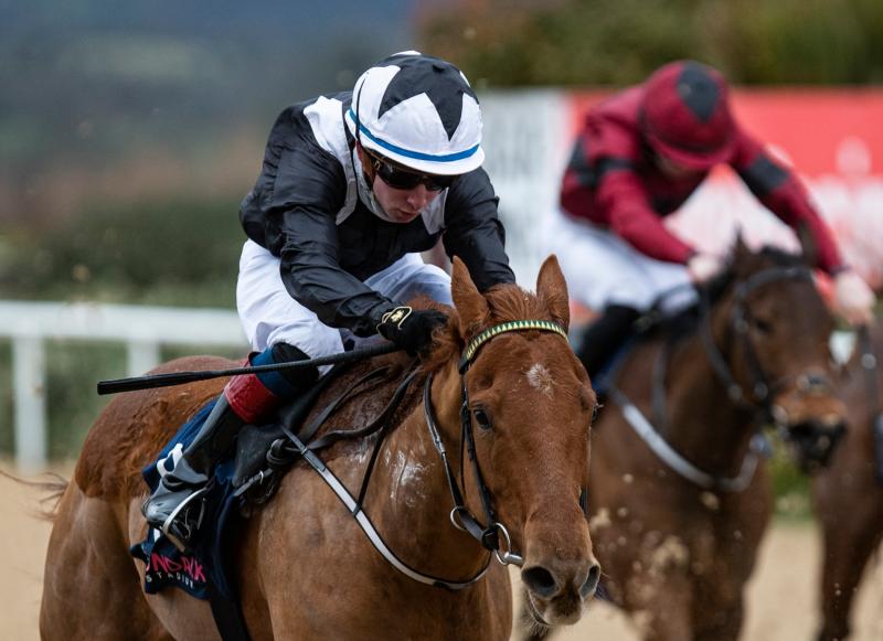 Rugby star Keith Earls wishes Moyross jockey Wesley Joyce well after eye-catching debut