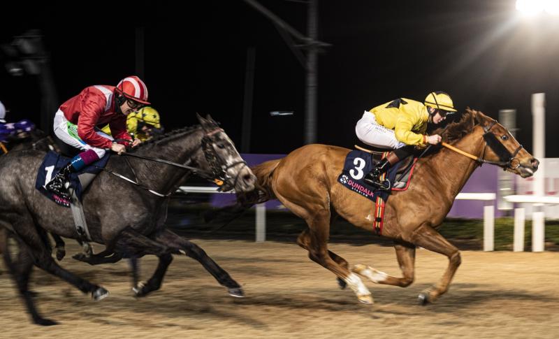 Abbeyfeale's Paddy Harnett boots home Dundalk winner