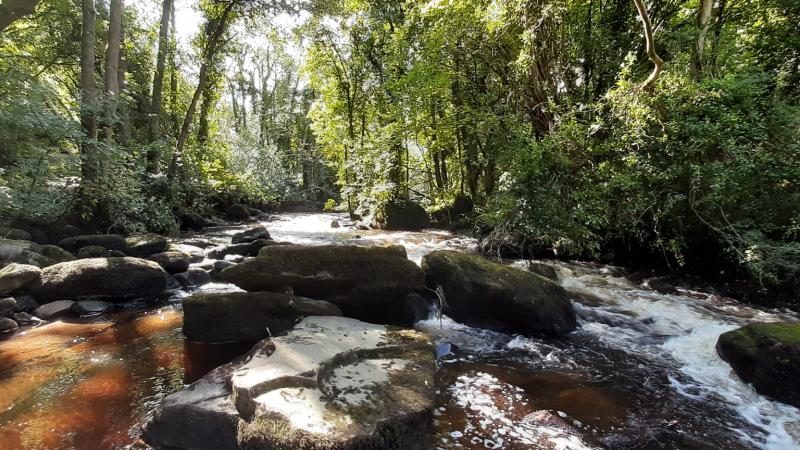 Funding announced for improvement works at Limerick beauty spot